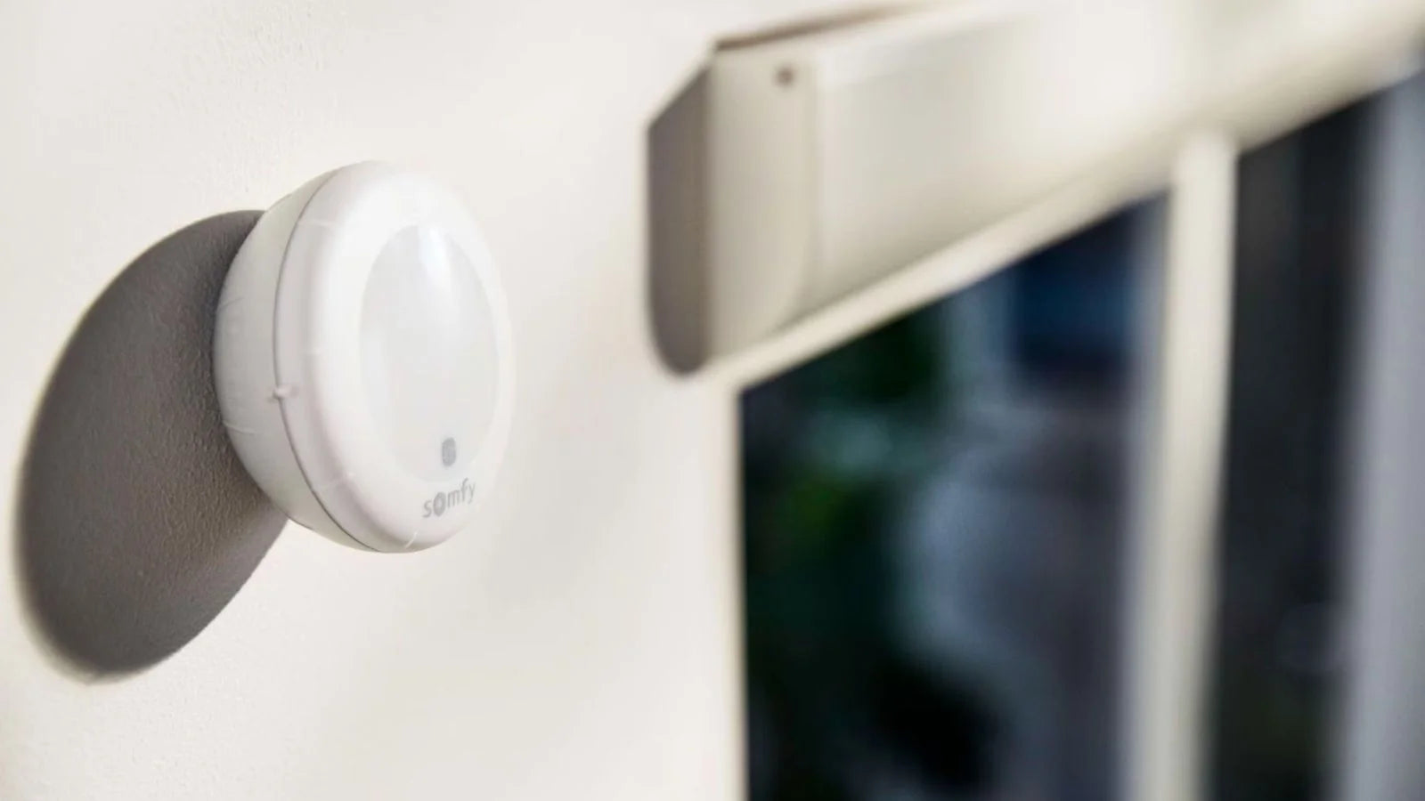 Somfy Sunis IO - Zonnesensor - STERK Zonweringen